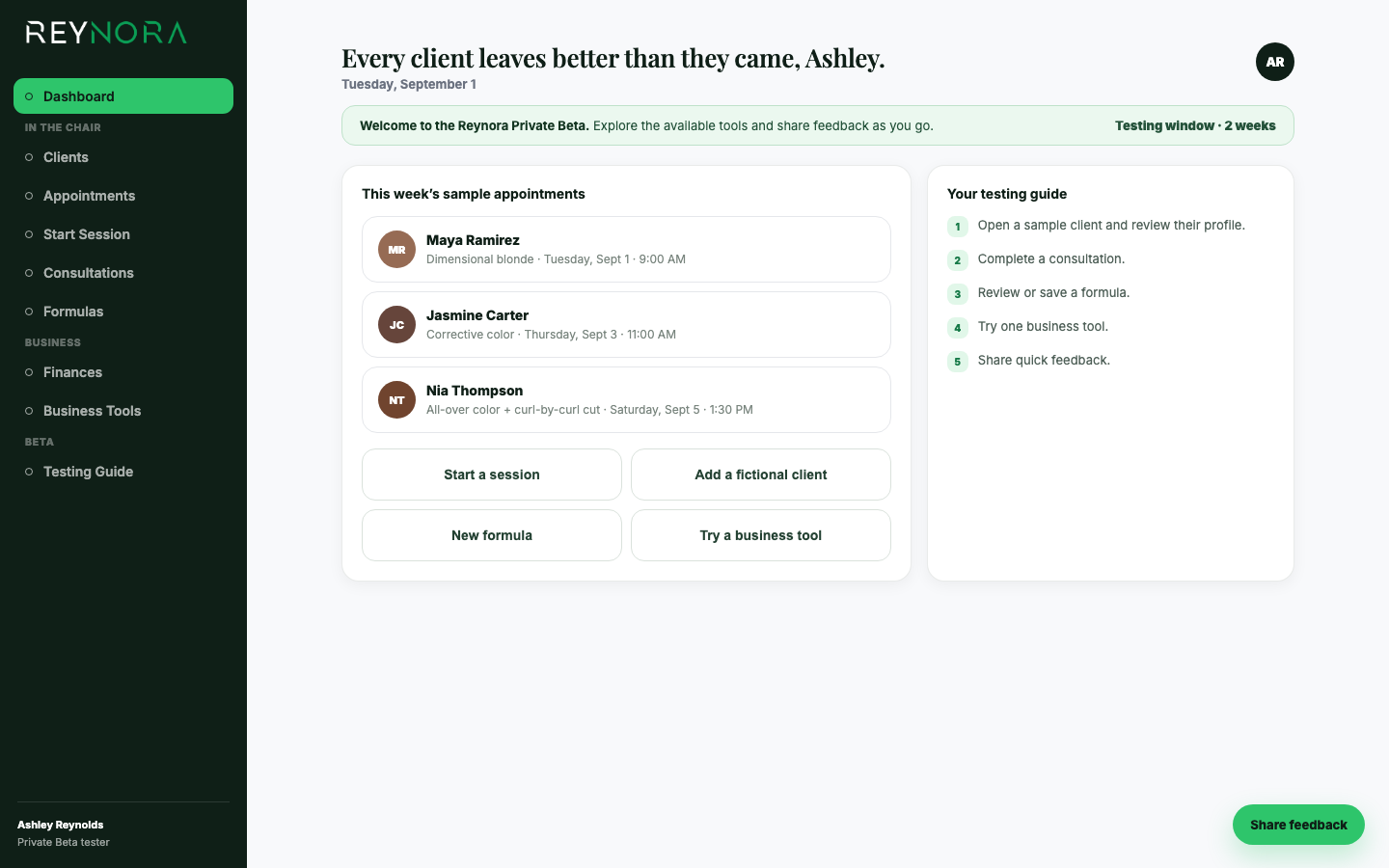 Reynora Private Beta dashboard with three sample appointments on different days and a testing guide